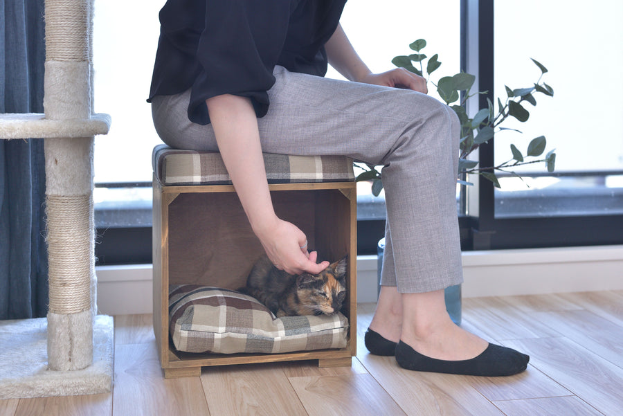 Pet Stool Brown