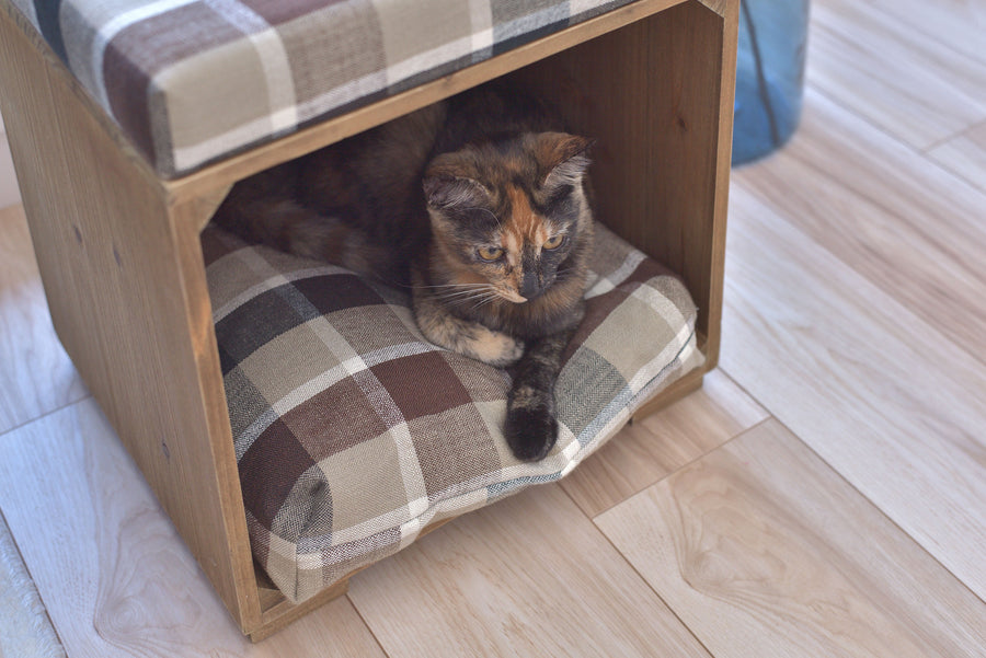 Pet Stool Brown