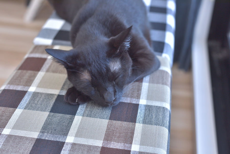 Pet Stool Brown