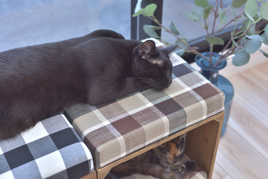 Pet Stool Brown