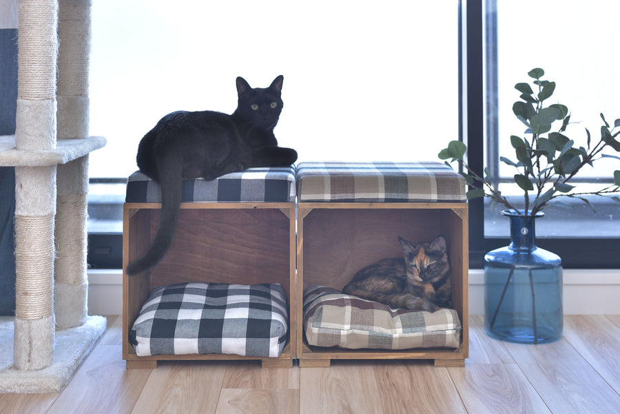 Pet Stool Brown