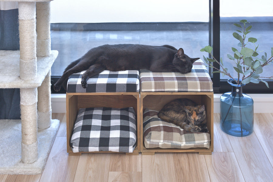 Pet Stool Brown