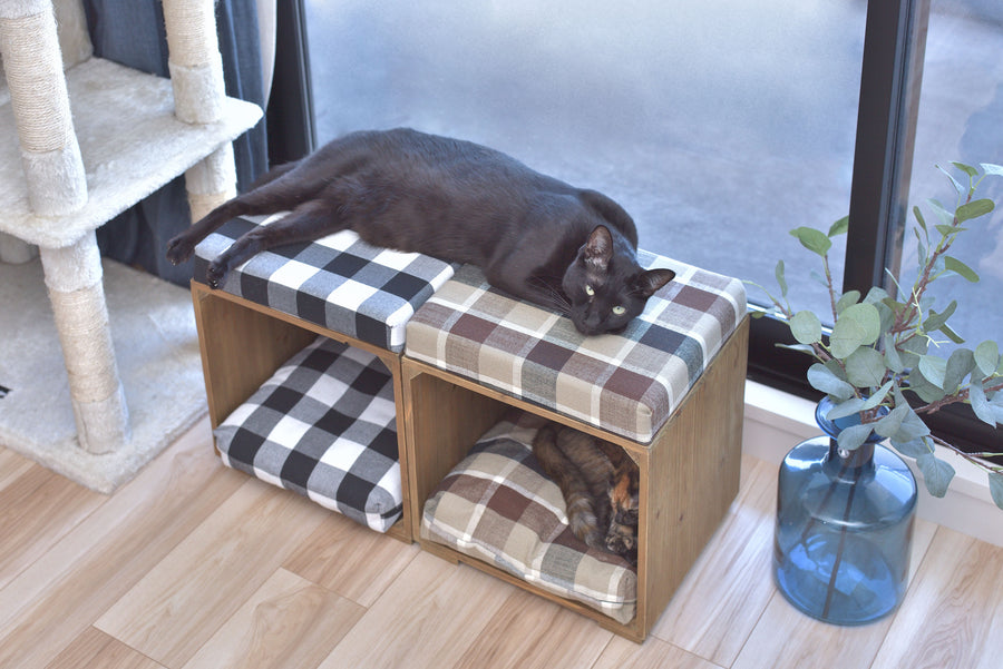 Pet Stool Brown