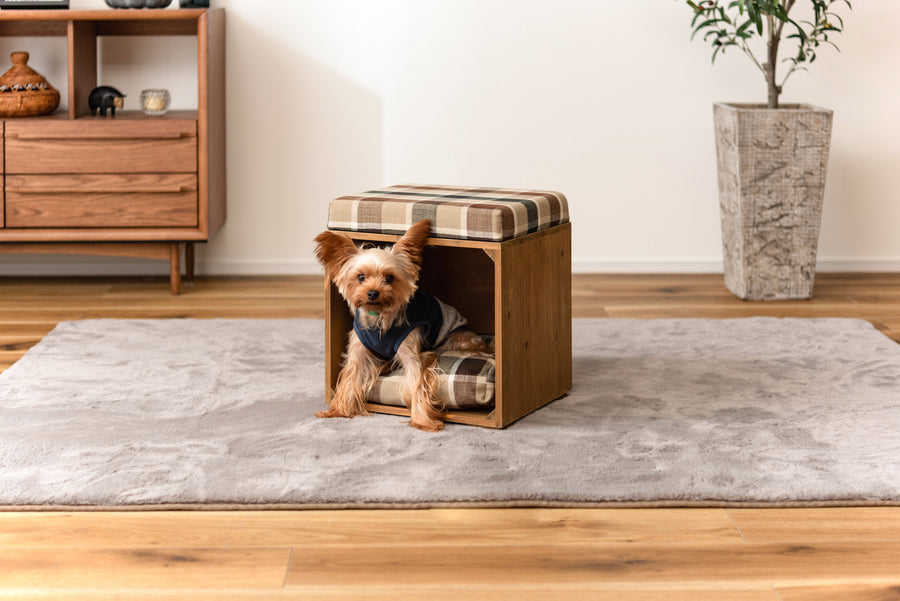 Pet Stool Brown