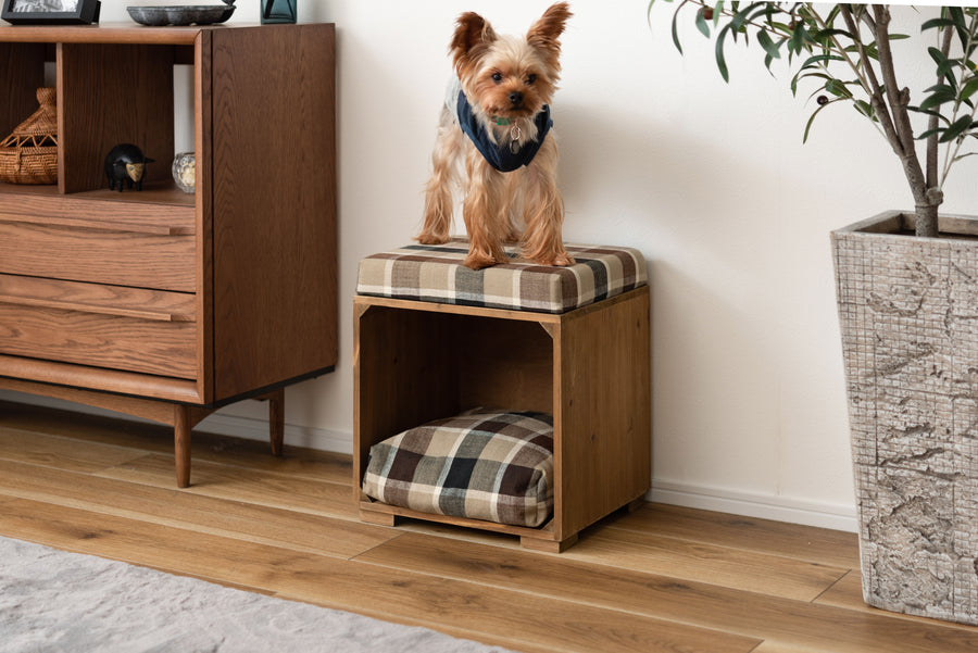 Pet Stool Brown