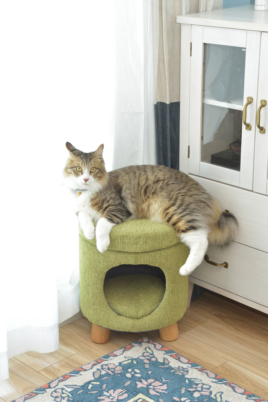 Pet Stool Green