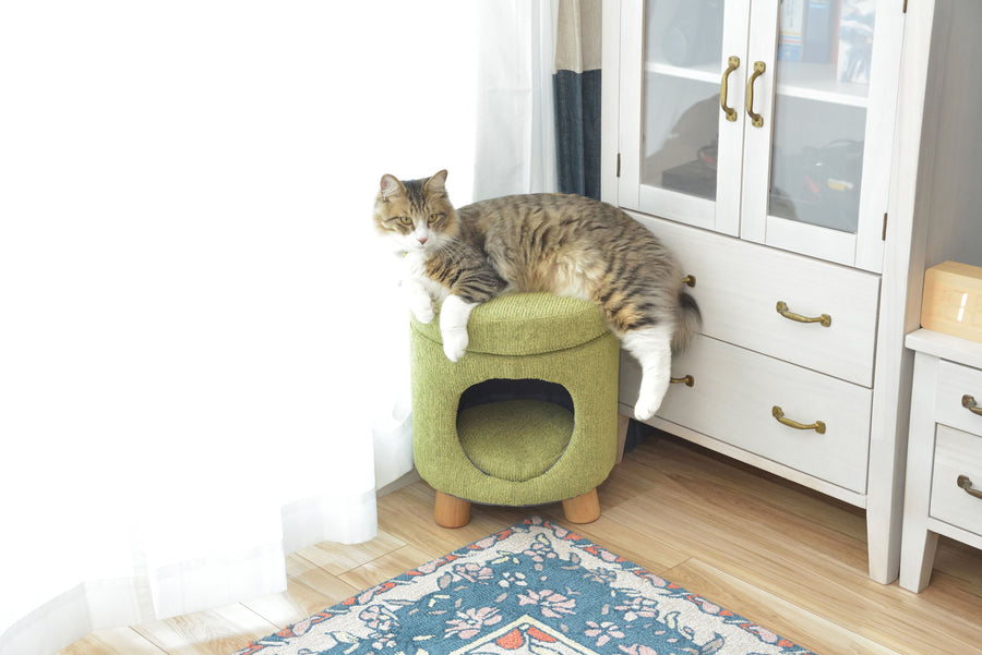 Pet Stool Green