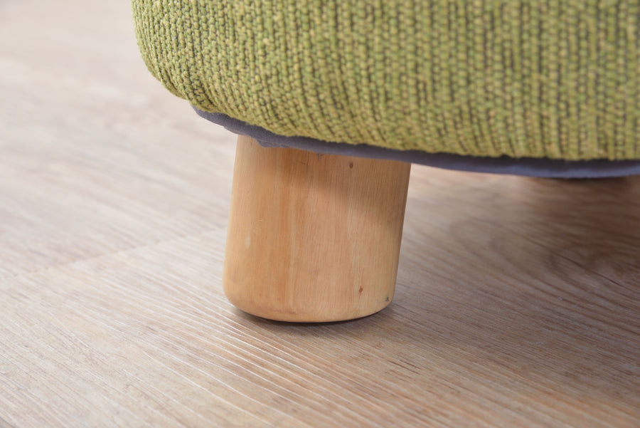 Pet Stool Green