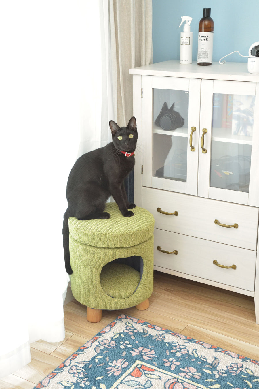 Pet Stool Green