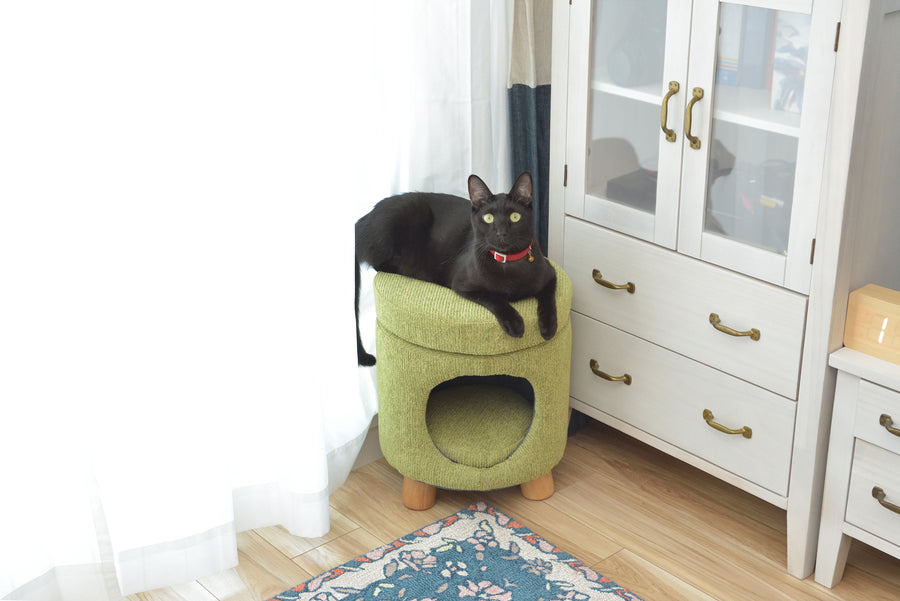 Pet Stool Green