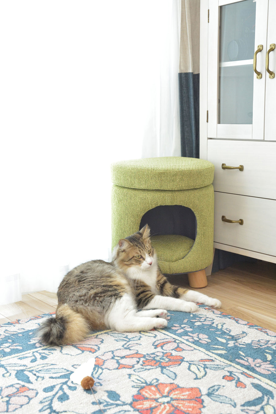 Pet Stool Green