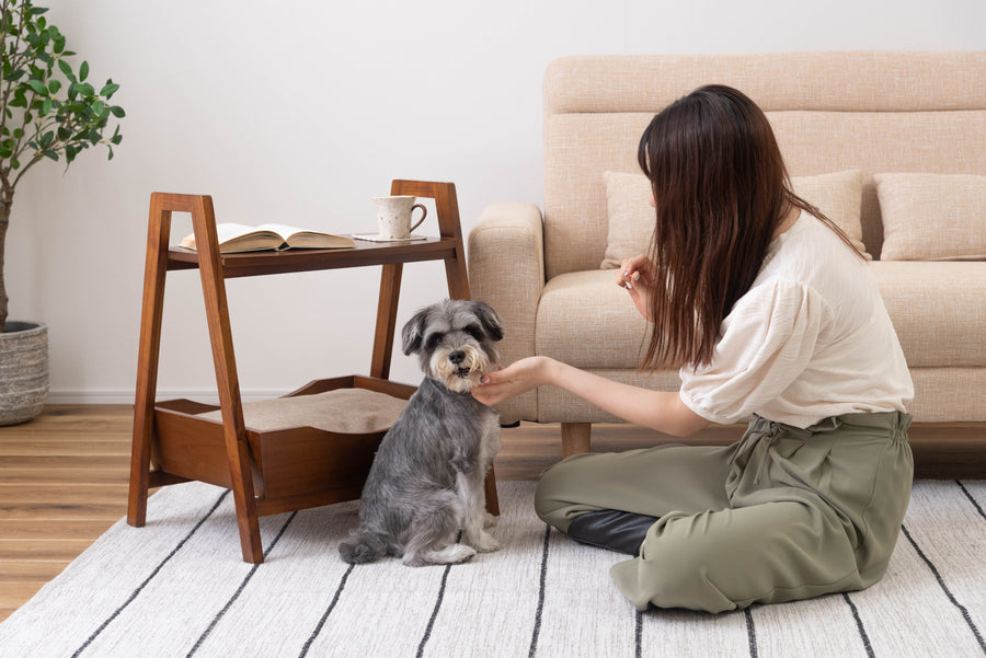 Pet Side Table Brown