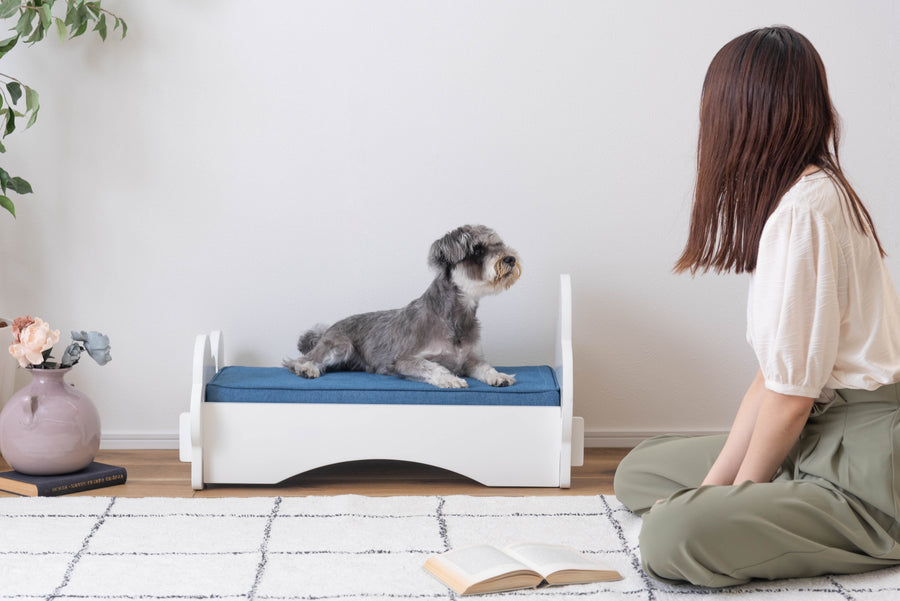 Pet Bed White