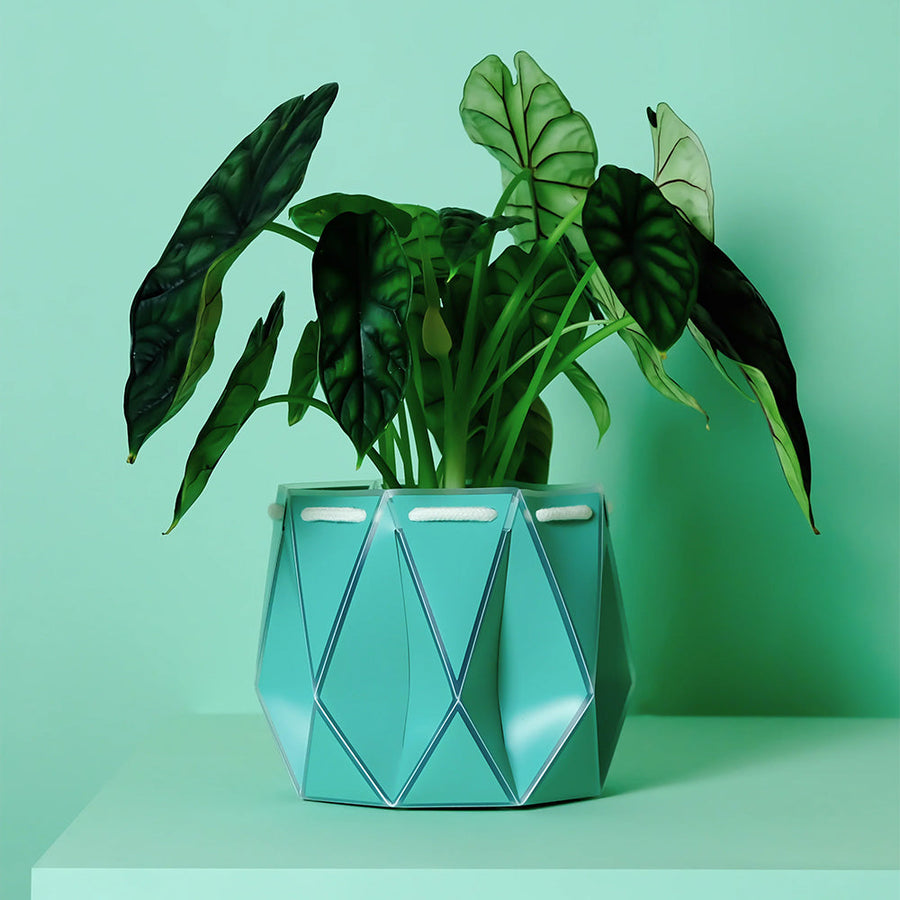 ポッターポット 15cm アクア