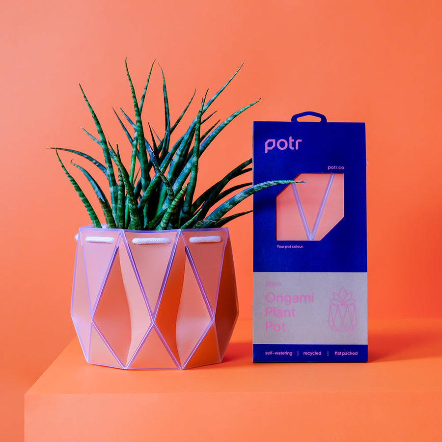 ポッターポット 18cm コーラル