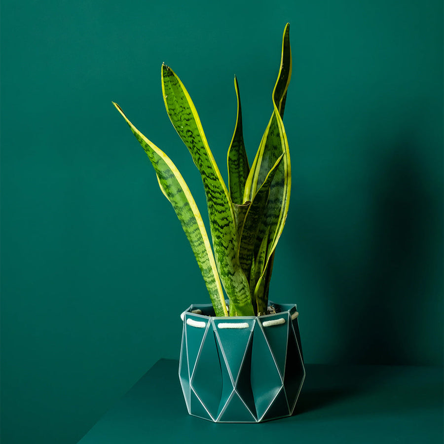 ポッターポット 15cm ダークティール