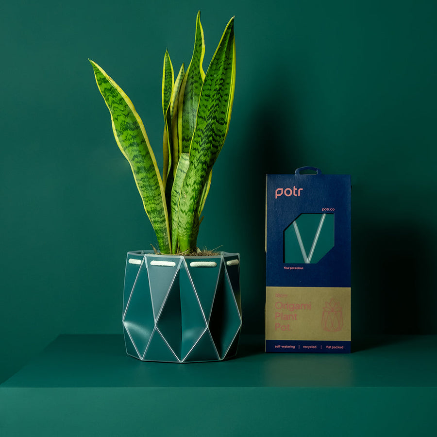 ポッターポット 18cm ダークティール