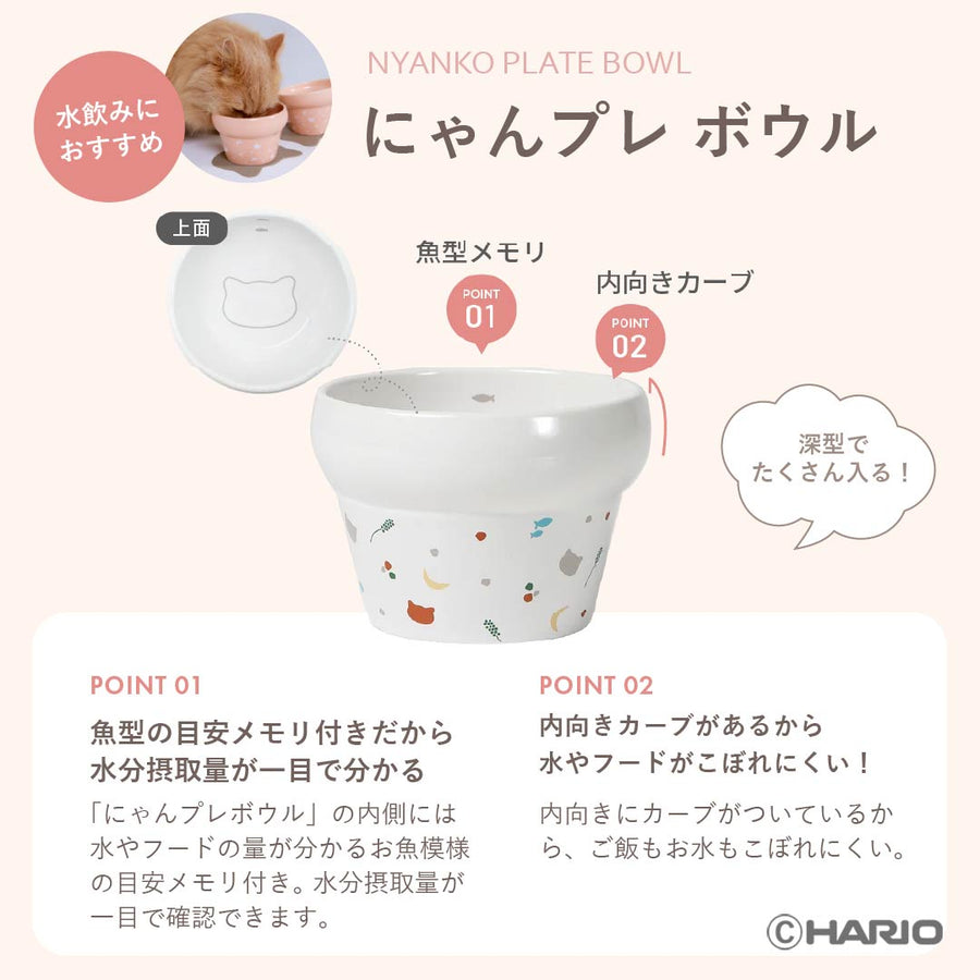 Nyanpre Bowl