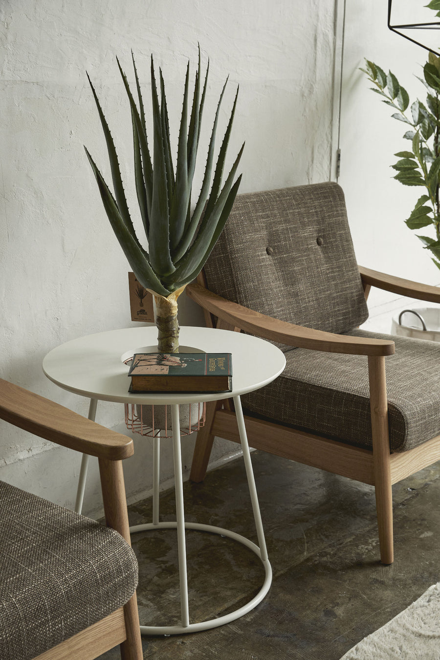 バッスム 1人掛 ブラウン