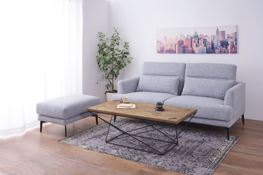 Slendo sofa grey