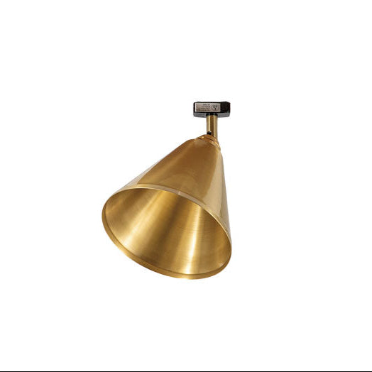 Lian Ceiling Brass