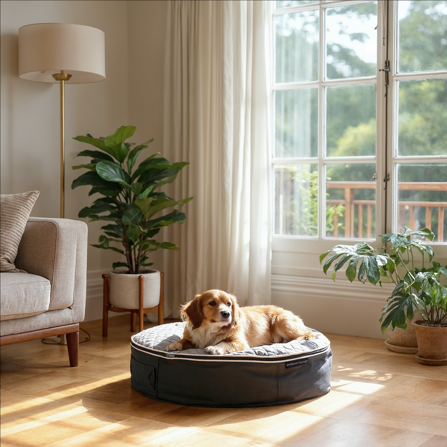 ambient lounge(アンビエントラウンジ) 犬ペットラウンジ ハイ XXL