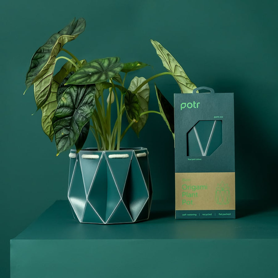 ポッターポット 15cm ダークティール