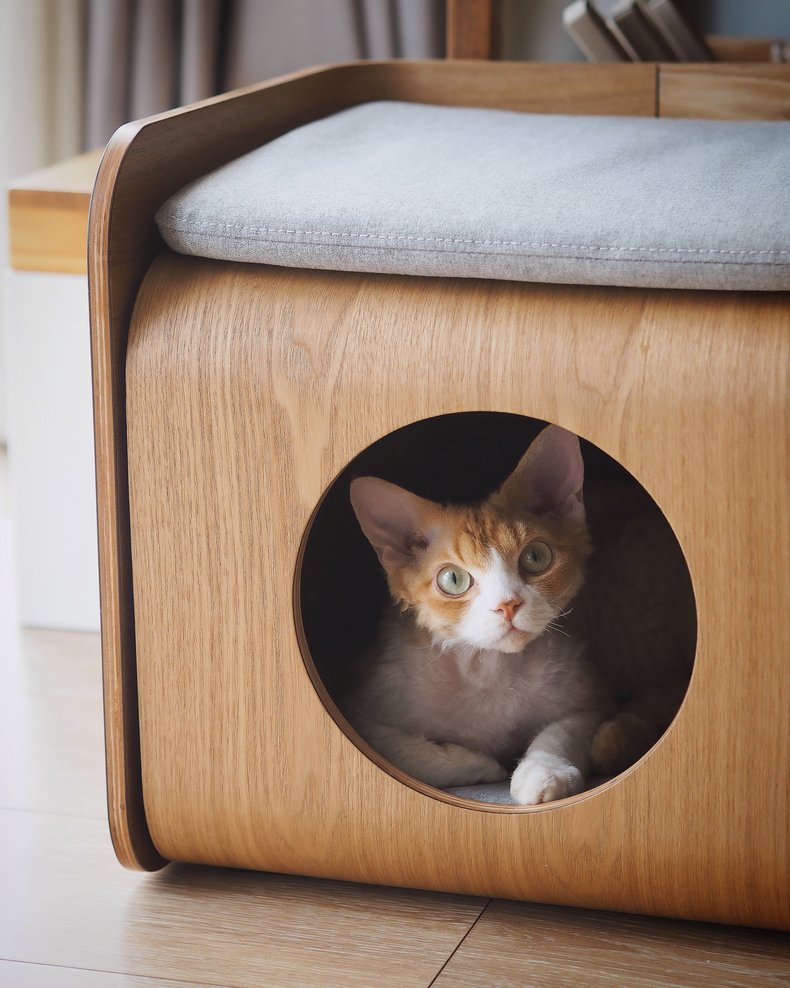 Wooden Dome Cat House Side Table