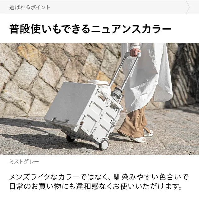 Folding Carry Cart 45L