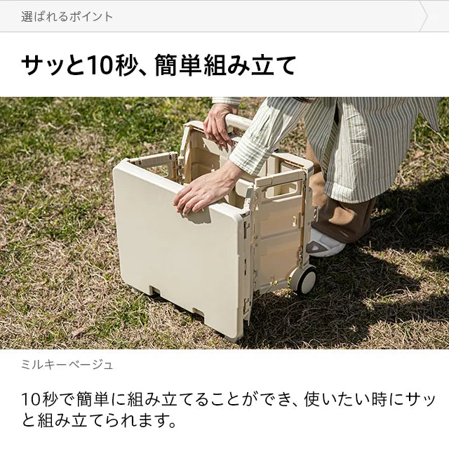 Folding Carry Cart 45L