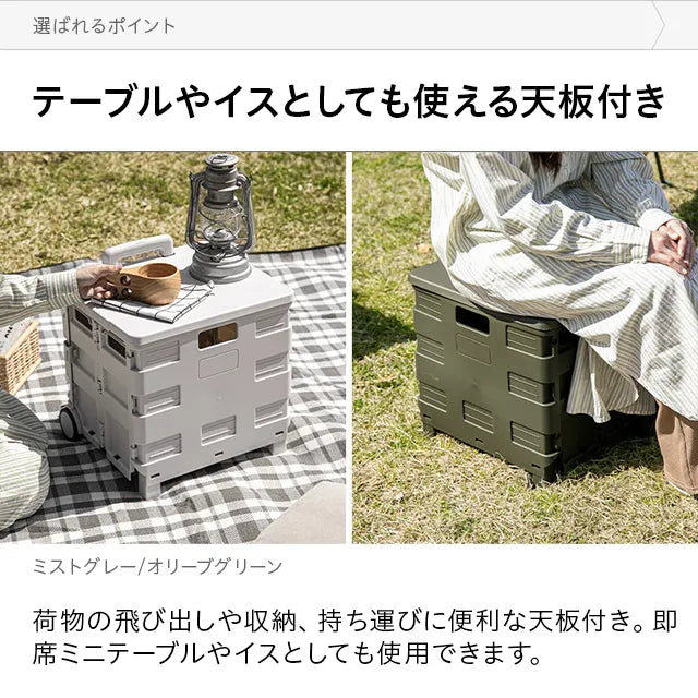 Folding Carry Cart 45L