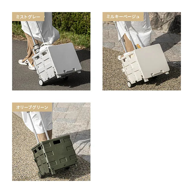 Folding Carry Cart 45L