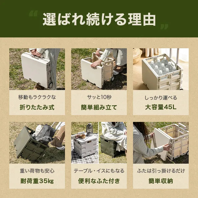 Folding Carry Cart 45L