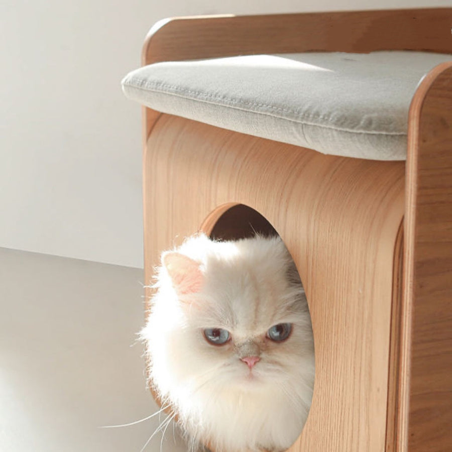 Wooden Dome Cat House Side Table