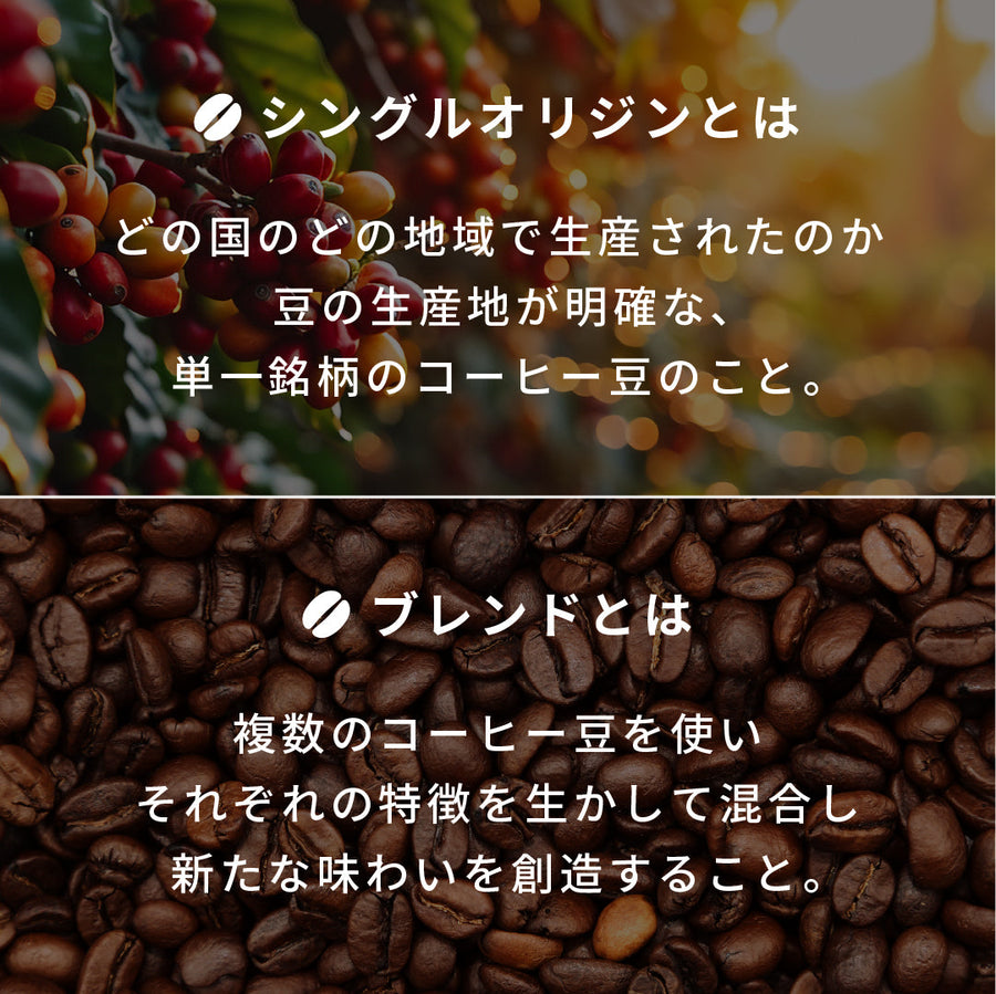 コーヒー豆セット 180g×2