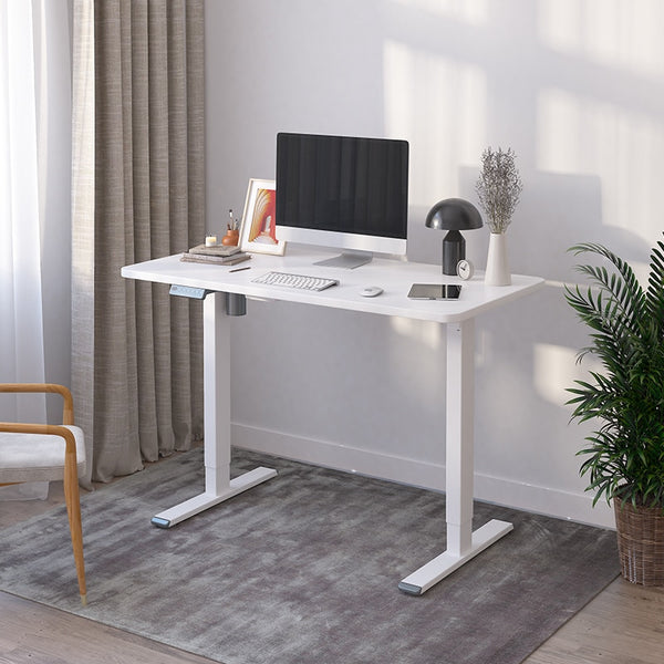 Flexispot EF1-Basic Electric Height Adjustable Desk