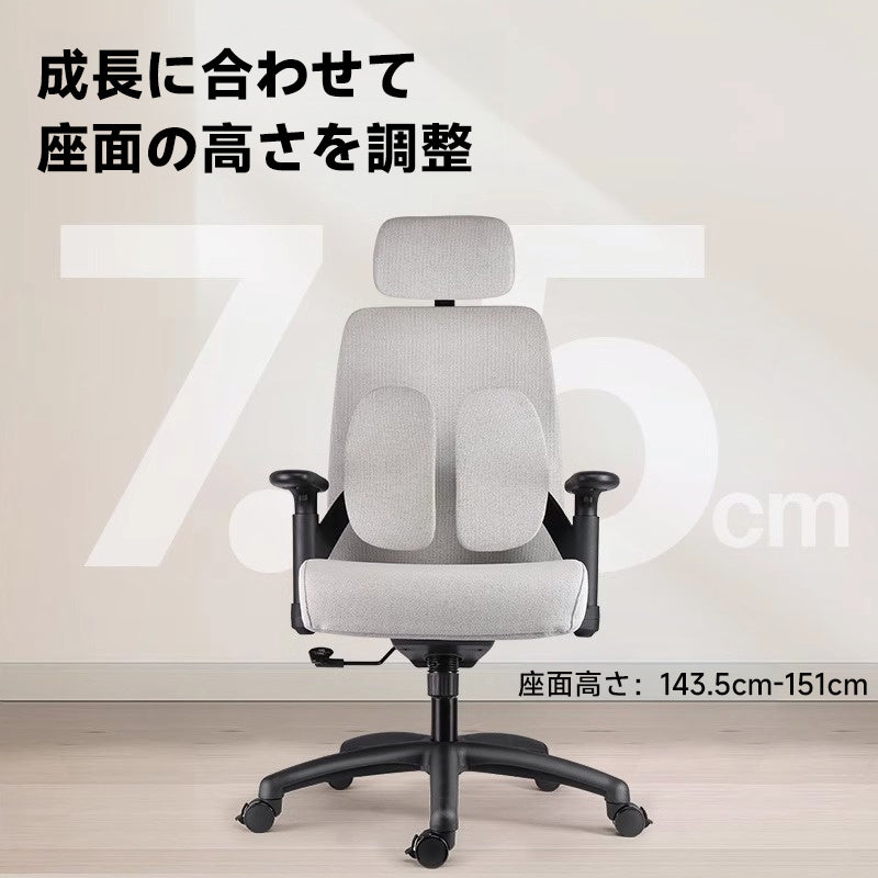 Comfort Lift Chair