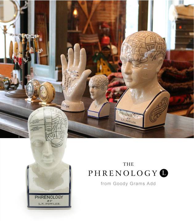 THE PHRENOLOGY-L