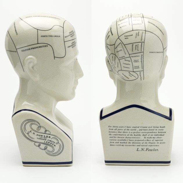 THE PHRENOLOGY-L