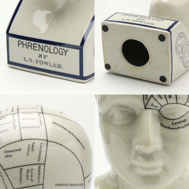 THE PHRENOLOGY-L