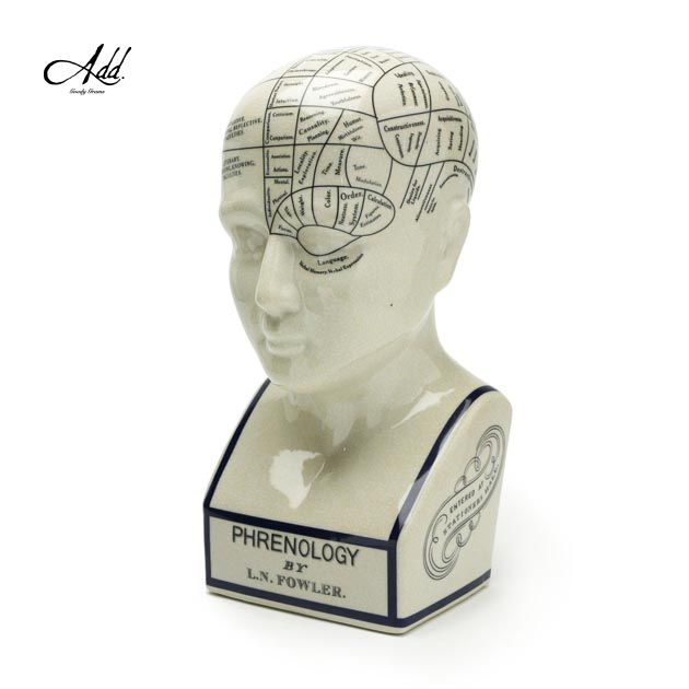 THE PHRENOLOGY-S