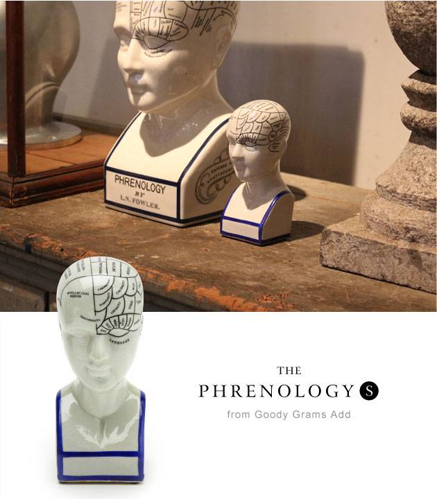 THE PHRENOLOGY-S