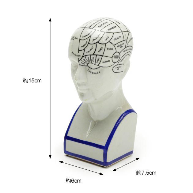 THE PHRENOLOGY-S