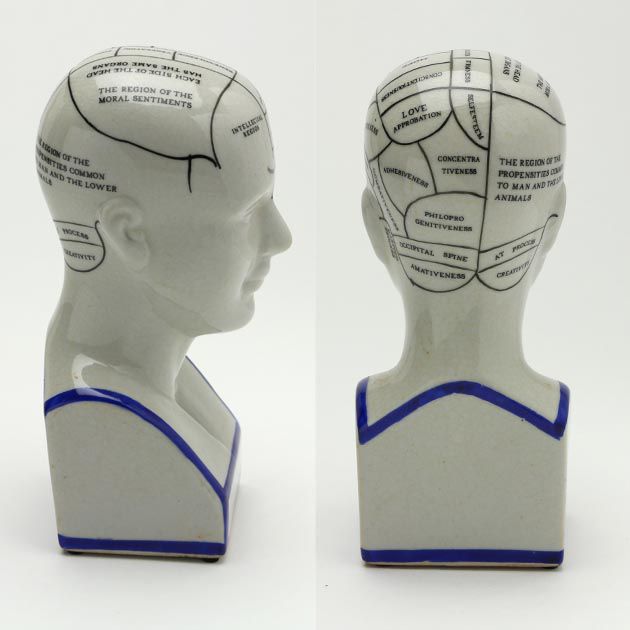 THE PHRENOLOGY-S