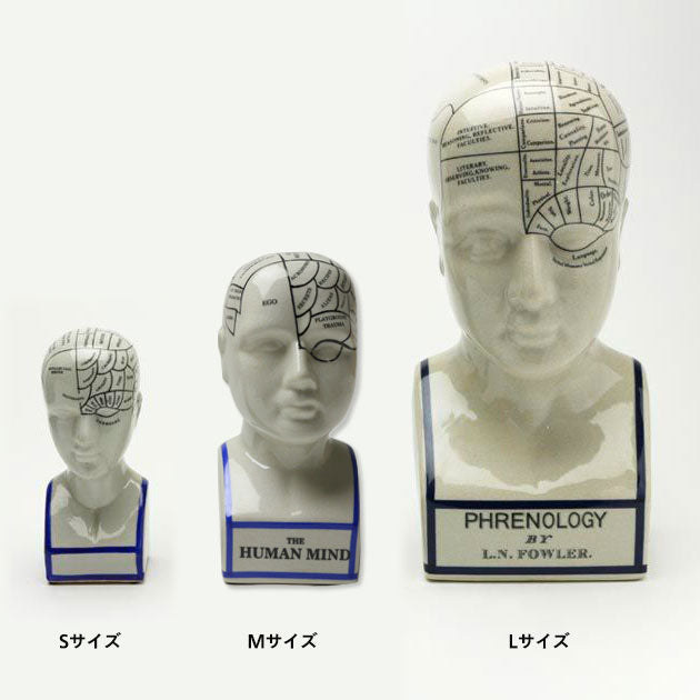 THE PHRENOLOGY-S