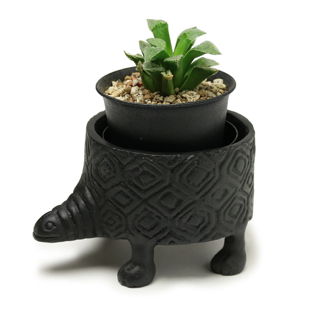 turtle pot