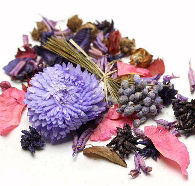 GREETING POTPOURRI