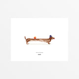 Doug the Dachshund 30×40cm