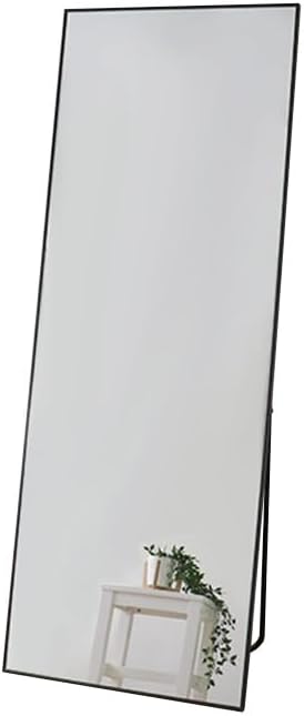 Modern aluminum frame stand wide mirror