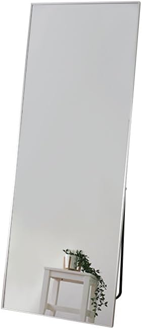 Modern aluminum frame stand wide mirror